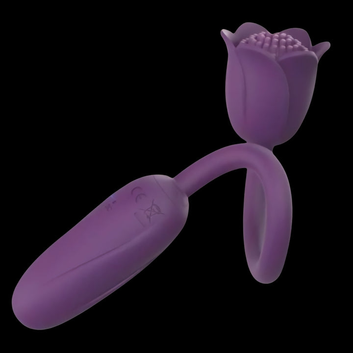 FlorEgg | App